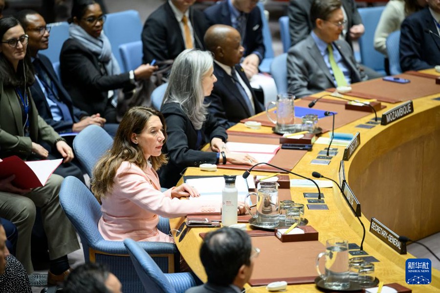Consiglio di Sicurezza dell'ONU discute l'adesione della Palestina come membro ufficiale