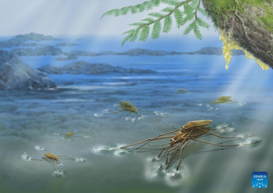 Ricercatori cinesi rivelano le dinamiche di accoppiamento di antichi insetti