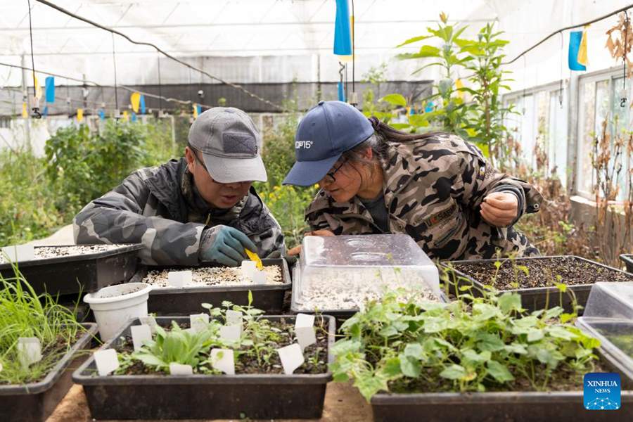 Sistema di ricerca completo multifunzione creato nel giardino botanico dello Yunnan