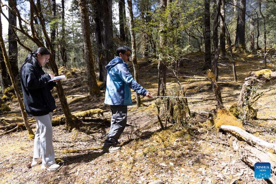 Sistema di ricerca completo multifunzione creato nel giardino botanico dello Yunnan