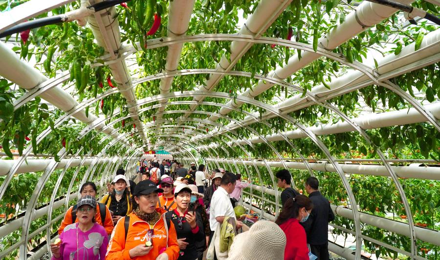 L'expo internazionale di scienze e tecnologie vegetali attira visitatori nello Shandong