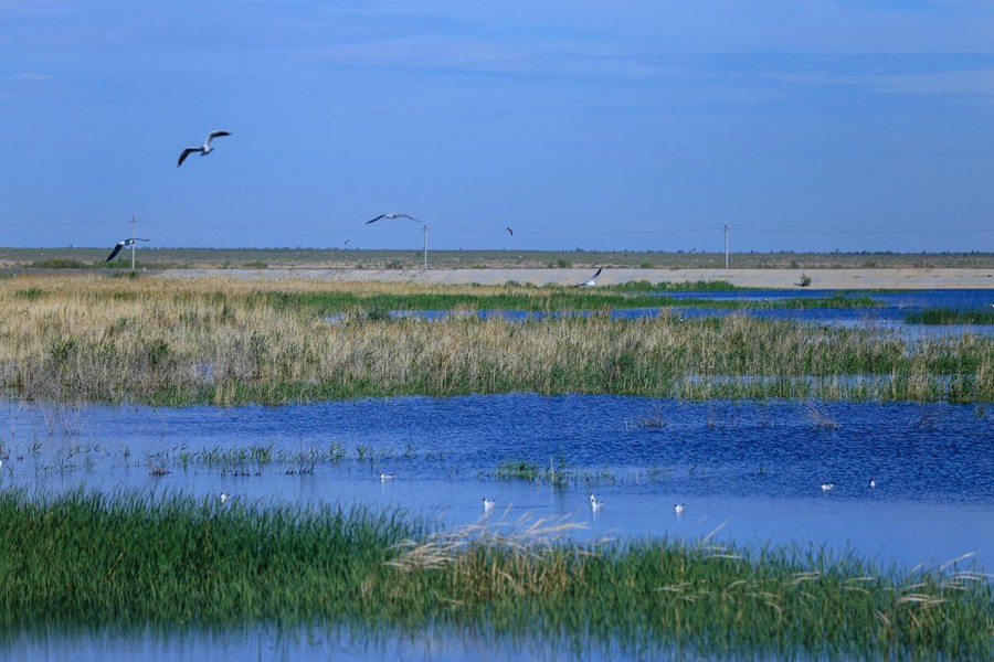 Cina, più di 6 milioni e mezzo di ettari di aree ecologicamente ripristinate