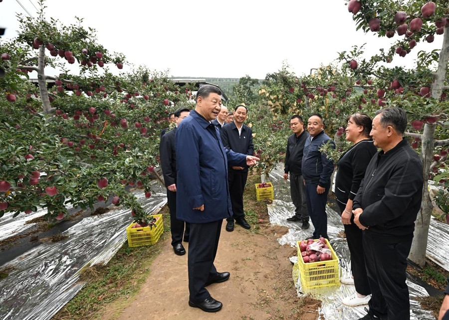 Xi Jinping: 