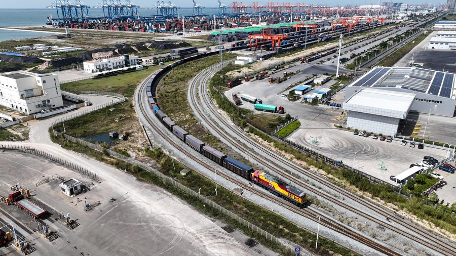 Il porto cinese di accesso all'ASEAN registra un'impennata delle esportazioni di componenti NEV