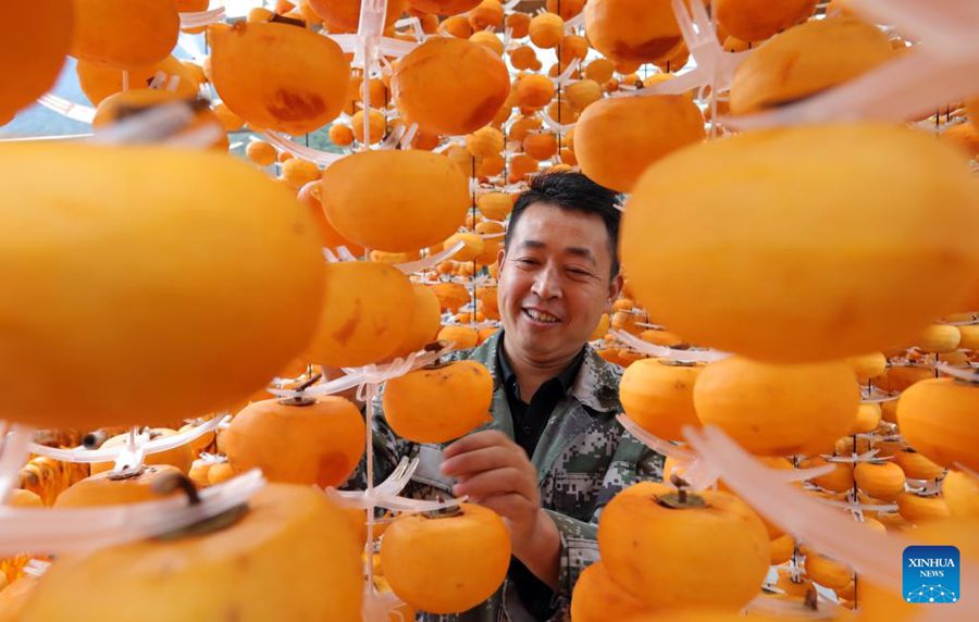 Agricoltori accolgono la stagione di raccolta in tutta la Cina