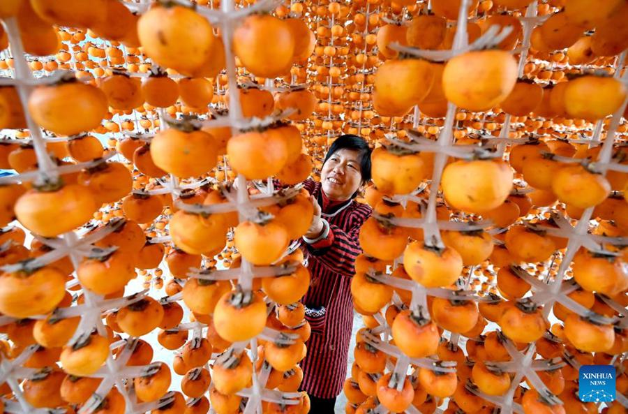 Agricoltori accolgono la stagione di raccolta in tutta la Cina