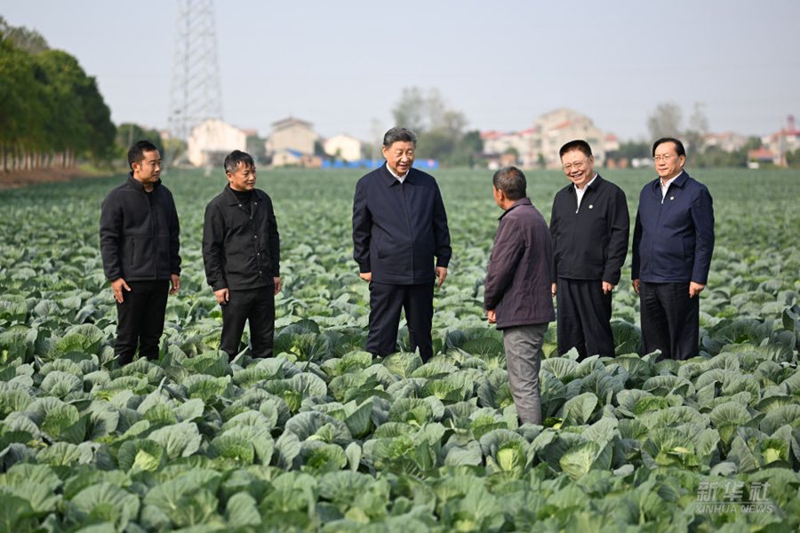Visita d'ispezione di Xi Jinping nello Hubei