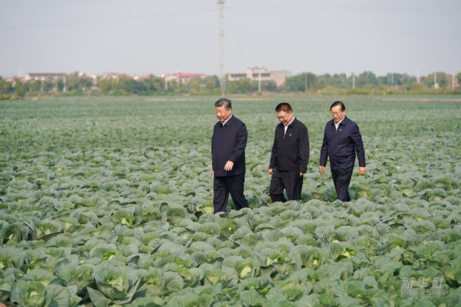 Visita d'ispezione di Xi Jinping nello Hubei