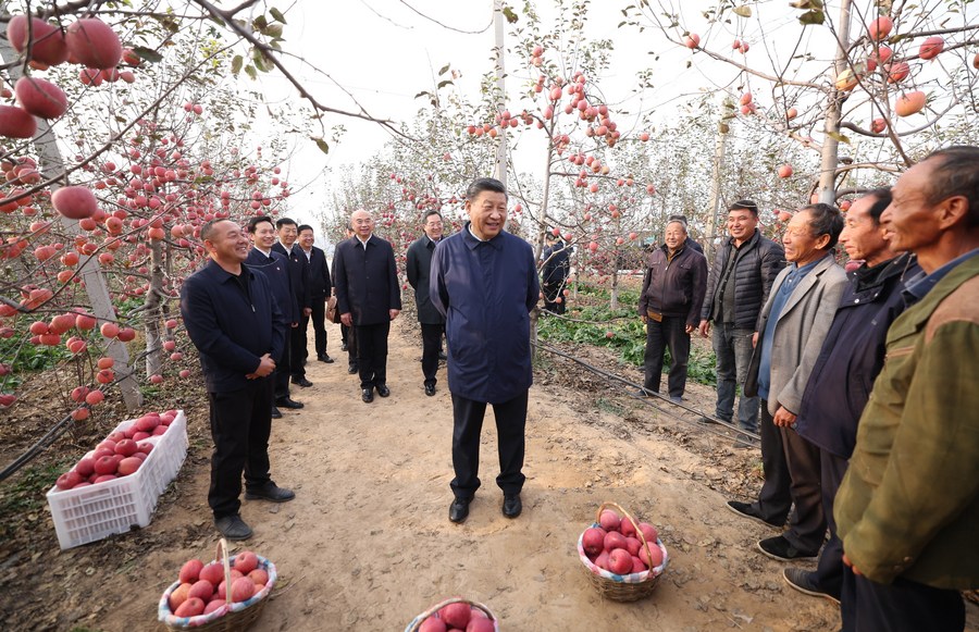 Xi Jinping si preoccupa delle persone e sottolinea ripetutamente la necessità di promuovere la rivitalizzazione rurale