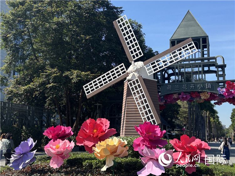 Vista del borgo dei fiori olandese. (Quotidiano del Popolo Online/Cao Xinyue)