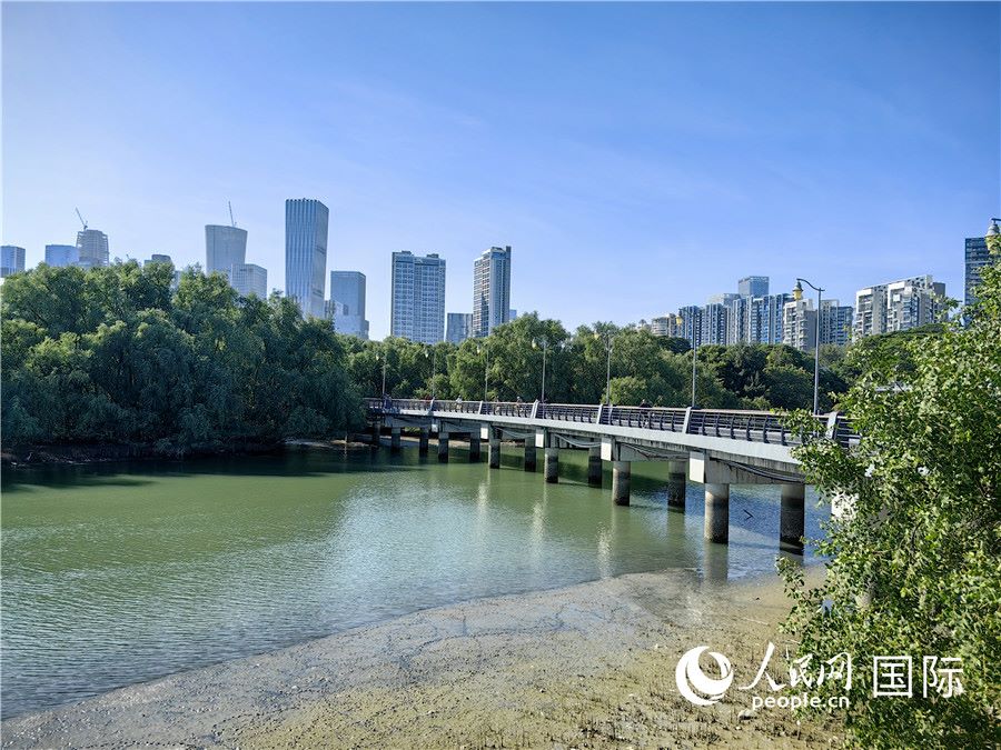 Corridoio ecologico del fiume Dasha: un nuovo biglietto da visita per lo sviluppo ecologico di Shenzhen