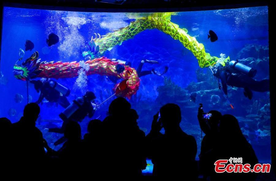 Turisti assistono a uno spettacolo di danza subacquea del drago al Wuhan Haichang Polar Ocean Park, nella provincia dello Hubei, nella Cina centrale. (25 gennaio 2025 - China News Service/Zhang Chang)