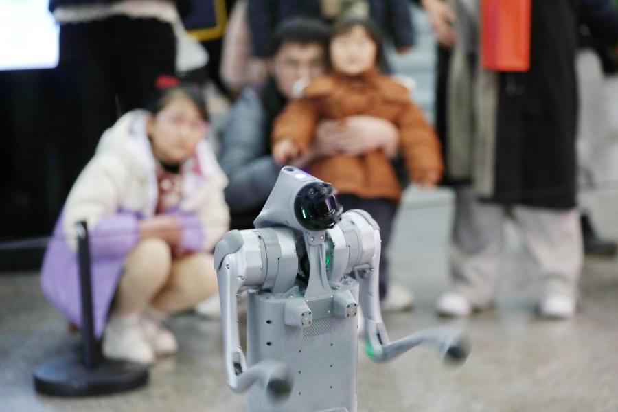 Visitatori assistono all'esibizione di un cane robot presso il museo della scienza e della tecnologia nella città di Jiaxing, nella provincia orientale cinese del Zhejiang. (31 gennaio 2025 - Xinhua/Jin Peng)