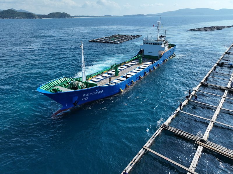 Porto di Libero Scambio di Hainan pubblica sei nuovi casi di innovazione istituzionale