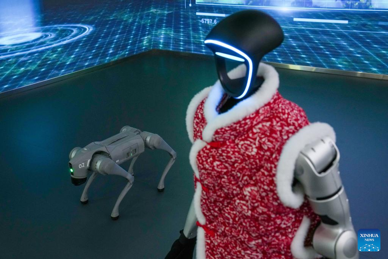 Uno sguardo al World of Robots di Beijng