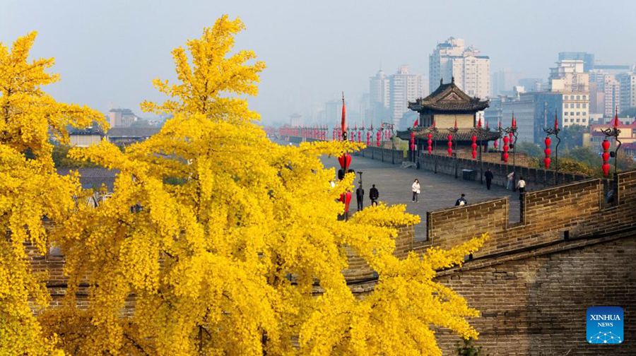Risorse storiche e culturali ben conservate a Xi'an
