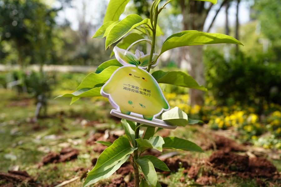 Attività di piantumazione di alberi si svolge a Kunming, nel sud-ovest della Cina