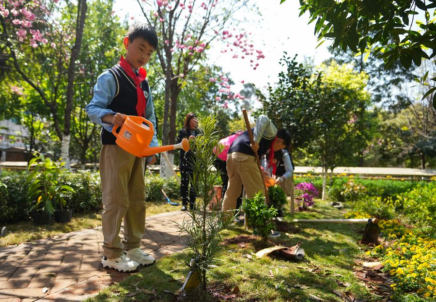 Attività di piantumazione di alberi si svolge a Kunming, nel sud-ovest della Cina