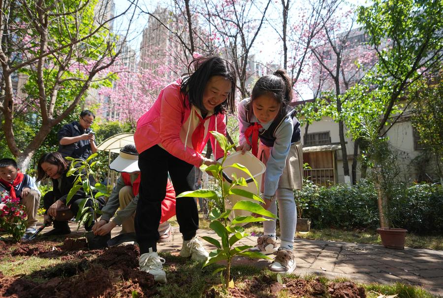 Attività di piantumazione di alberi si svolge a Kunming, nel sud-ovest della Cina