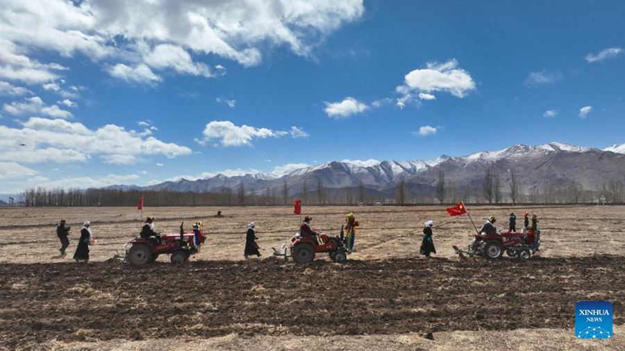Agricoltori dello Xizang accolgono la stagione della semina primaverile