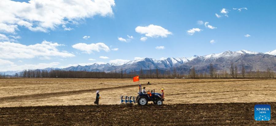 Agricoltori dello Xizang accolgono la stagione della semina primaverile