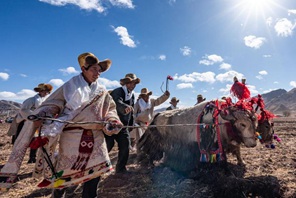 Agricoltori dello Xizang accolgono la stagione della semina primaverile