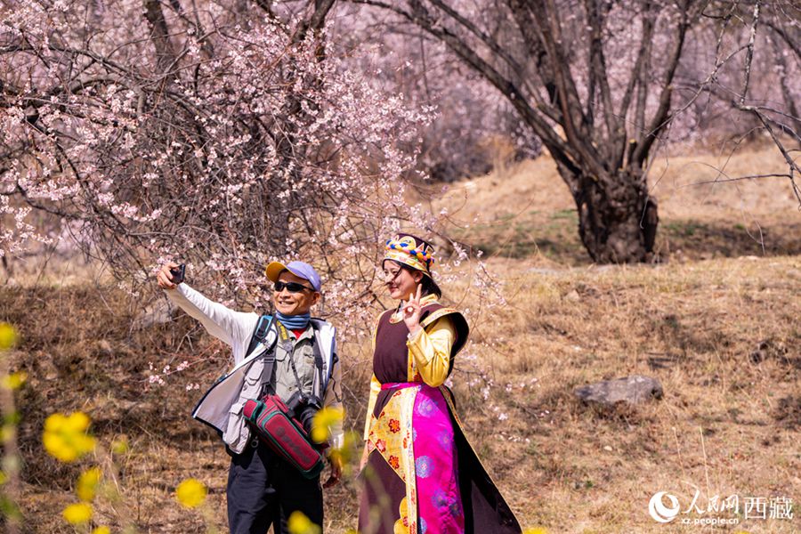 Xizang: lo splendore primaverile dei fiori di pesco a Linzhi