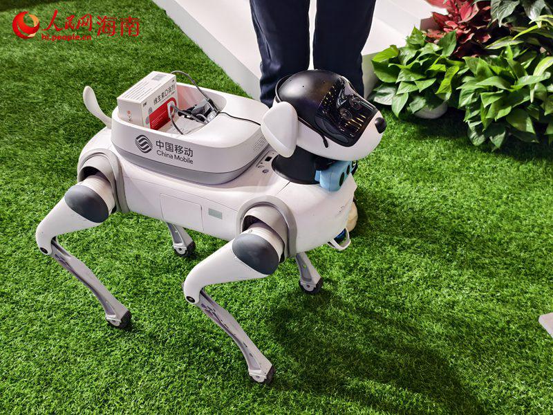 Prodotti high-tech diventano virali alla China International Consumer Products Expo