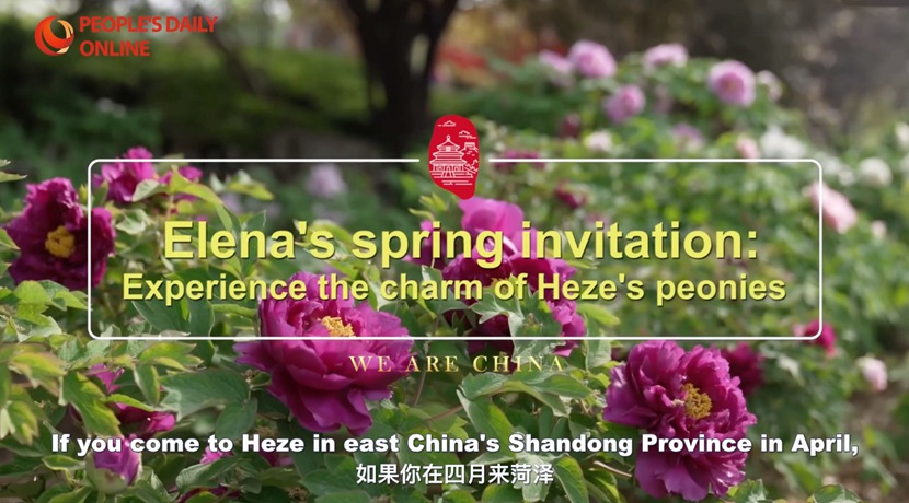 L'invito primaverile di Elena: il fascino delle peonie di Heze