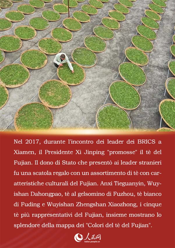 La storia di Xi Jinping e del tè del Fujian