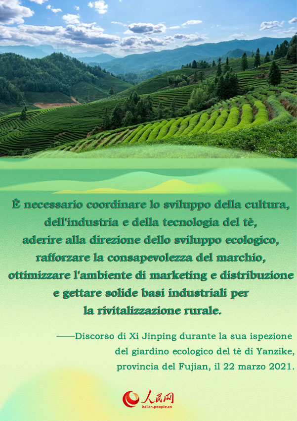 Il percorso di rivitalizzazione rurale del Fujian secondo il Presidente Xi Jinping