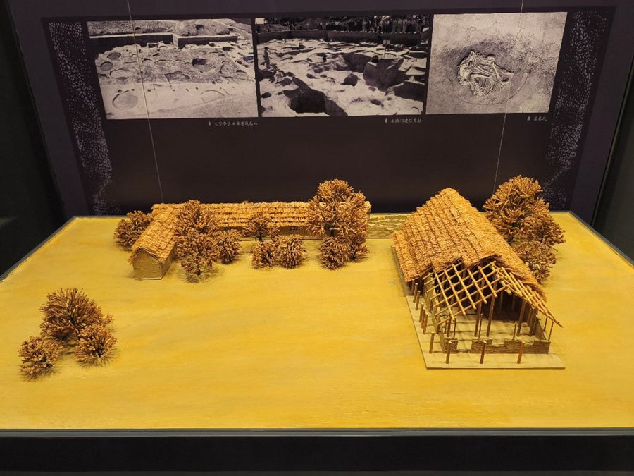Giornalisti eurasiatici visitano il Museo del Sito Erlitou della Capitale Xia per scoprire 