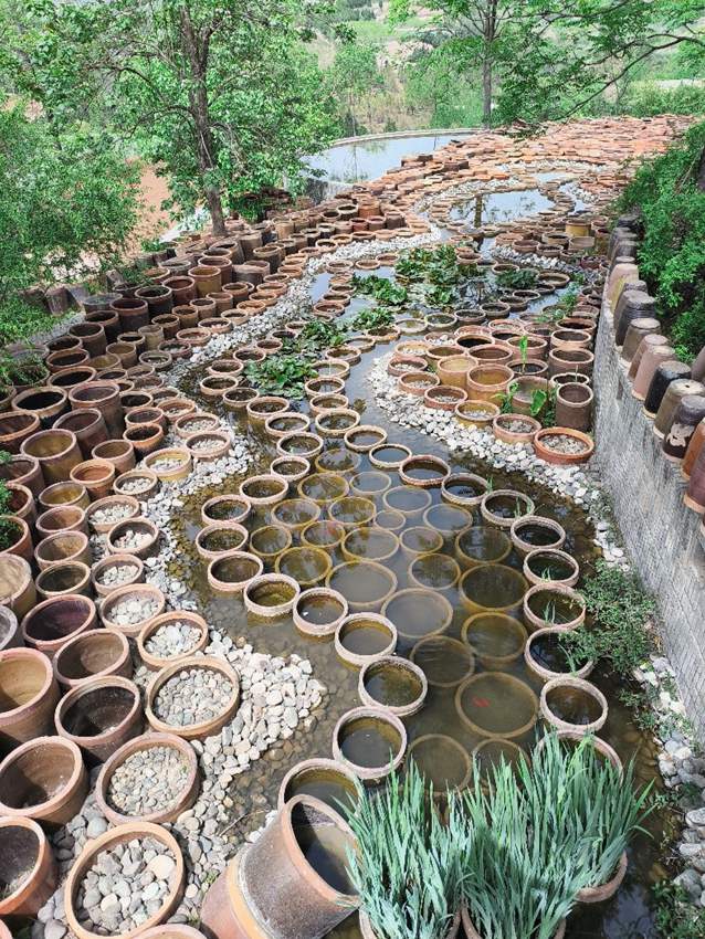 L'estetica arriva nel piccolo borgo di Aihe
