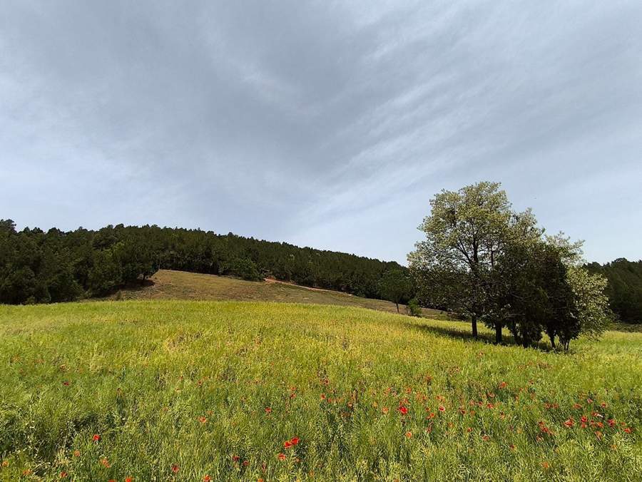 L'estetica arriva nel piccolo borgo di Aihe