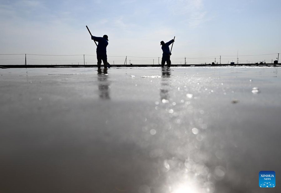 Tianjin, inizia il raccolto primaverile del sale