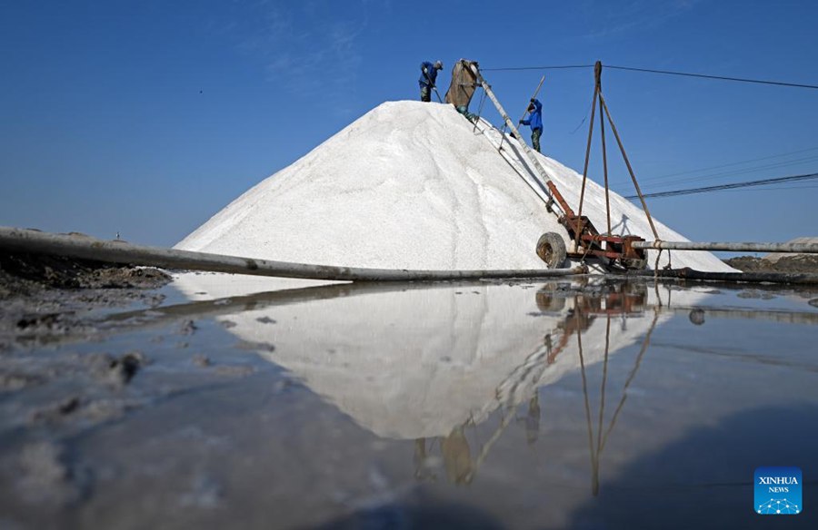 Salinai confezionano il sale raccolto in una salina del Tianjin Changlu Haijing Group Co., Ltd. a Tianjin, nel nord della Cina. (27 aprile 2025 – Xinhua/Zhao Zishuo)