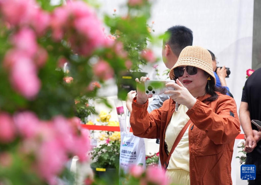 Beijing ospita la 9a Conferenza Internazionale sulla Rosa Chinensis