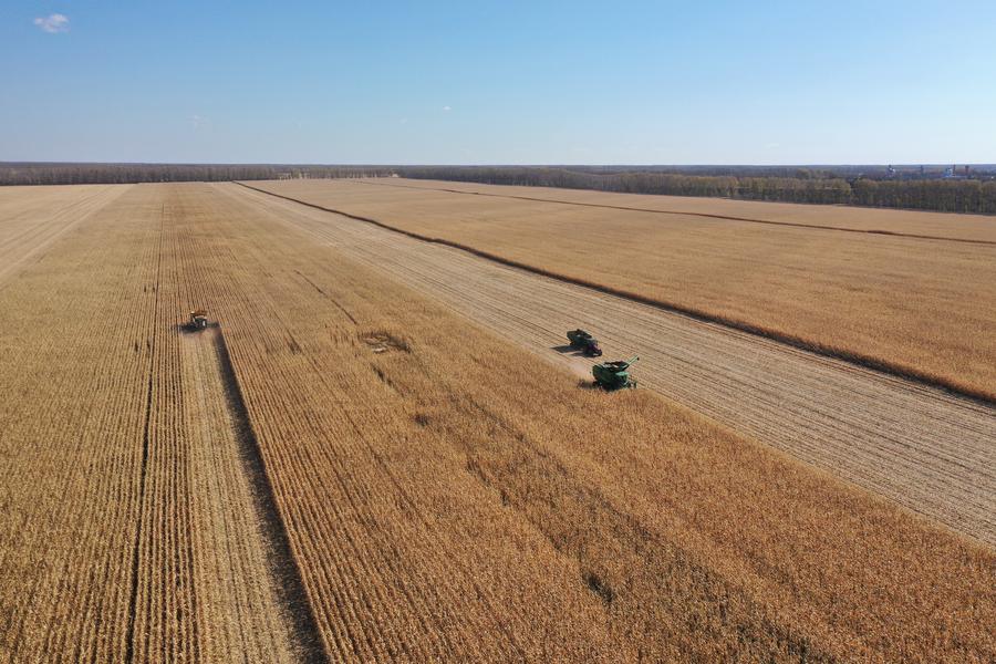 Vista aerea di macchine agricole al lavoro nei campi di mais di un'azienda agricola del Gruppo Beidahuang, nella provincia nord-orientale cinese dello Heilongjiang. (12 ottobre 2024 - Xinhua/Wang Song)