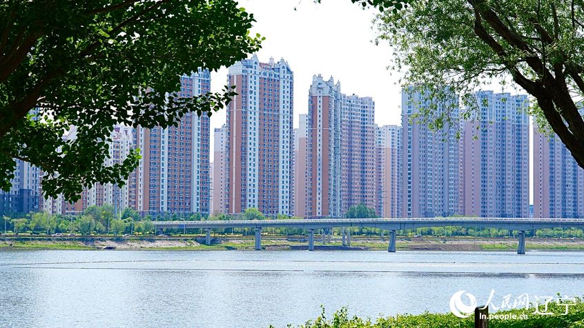 Jinzhou: acque limpide creano corridoi verdi e spiagge sterili diventano un paradiso
