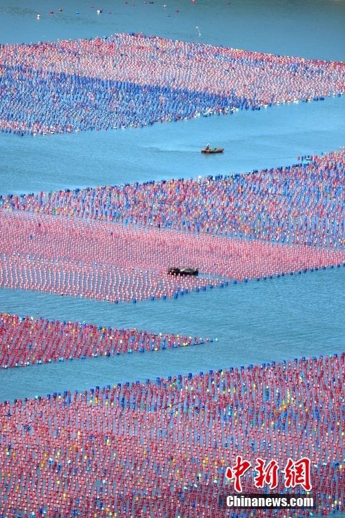 Fujian: piena stagione estiva per gli allevamenti marini