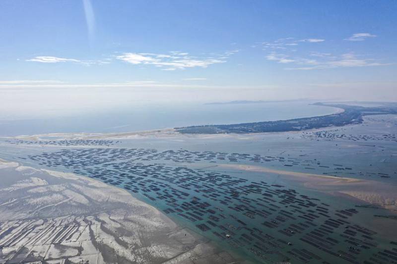 Allevamento di pescatori a Dongxing, nella regione autonoma del Guangxi Zhuang, Cina meridionale. (16 dicembre 2024 - Xinhua/Cao Yiming)