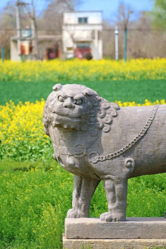 Henan, il millenario Mausoleo Imperiale della dinastia Song nei campi di grano