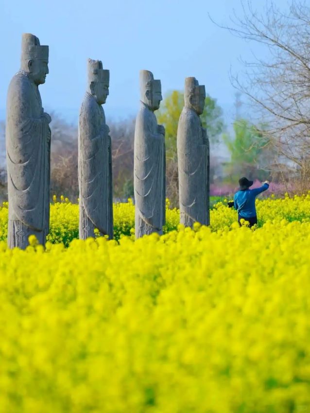 Henan, il millenario Mausoleo Imperiale della dinastia Song nei campi di grano