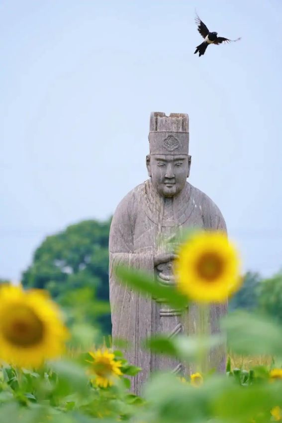 Henan, il millenario Mausoleo Imperiale della dinastia Song nei campi di grano