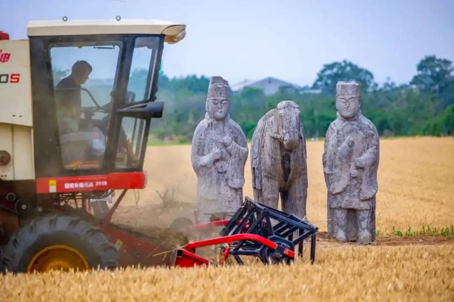 Henan, il millenario Mausoleo Imperiale della dinastia Song nei campi di grano