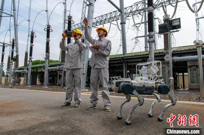 Zhejiang: robot con intelligenza incarnata ispezionano la rete elettrica per garantire la sicurezza