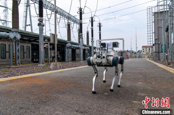 Zhejiang: robot con intelligenza incarnata ispezionano la rete elettrica per garantire la sicurezza