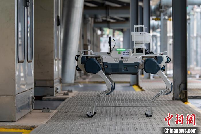 Zhejiang: robot con intelligenza incarnata ispezionano la rete elettrica per garantire la sicurezza