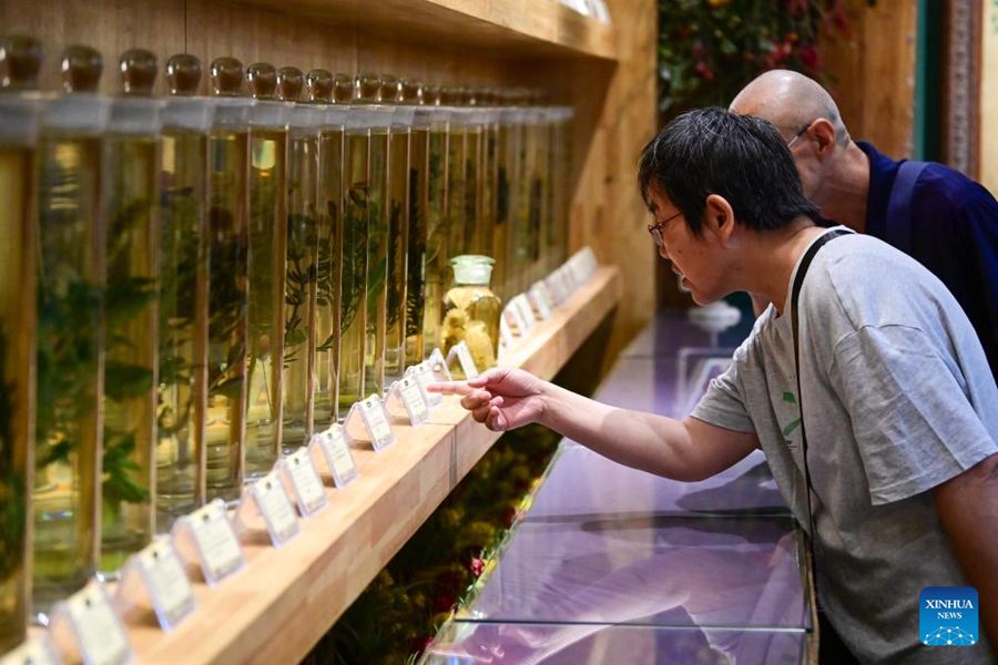 Turisti visitano un museo della lavanda nella contea di Huocheng, nella regione autonoma uigura dello Xinjiang, nel nord-ovest della Cina. (14 giugno 2025 – Xinhua/Ding Lei)