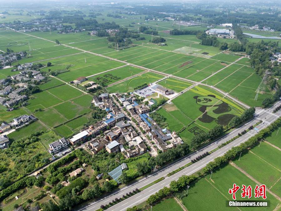 Chengdu, enorme 
